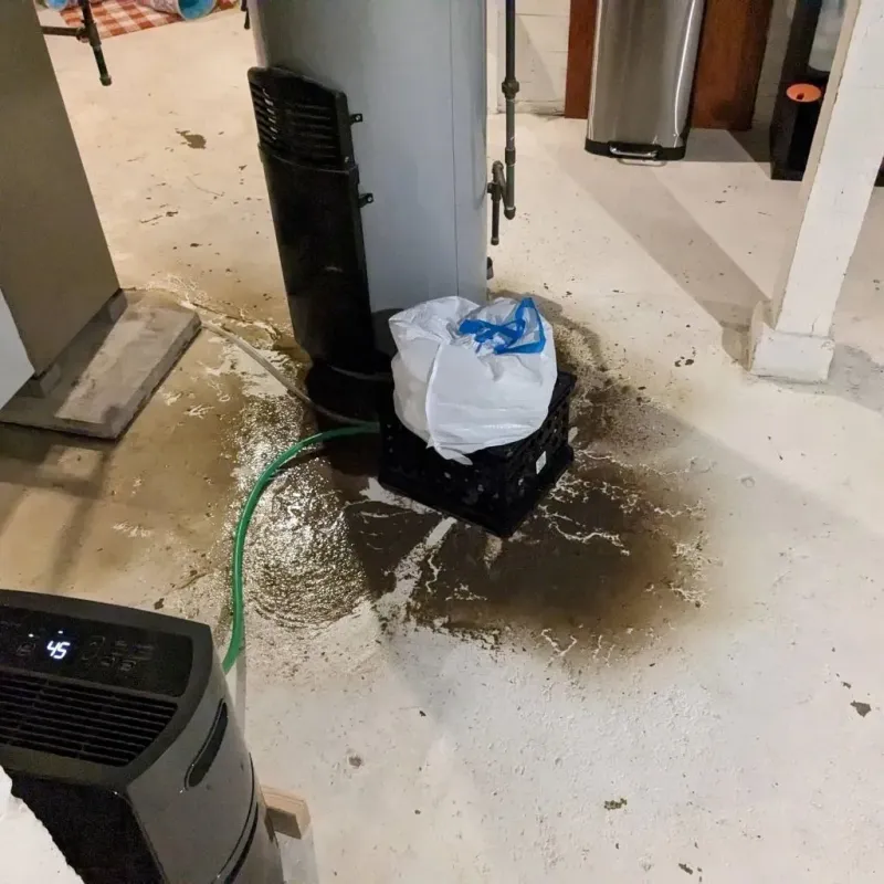 Sewage Backup Cleanup Service in Ephrata, PA